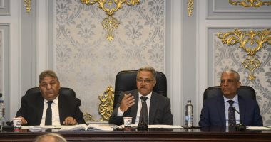 مطالب برلمانية بسيستم موحد لتنظيم انتظار السيارات فى الشوارع