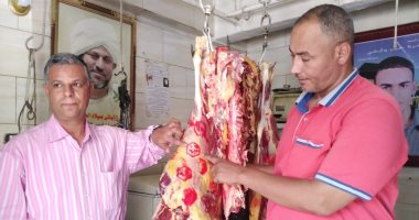 حملات تفتيشية لضبط المخالفات والمرور على محلات الجزارة بالأقصر.. صور