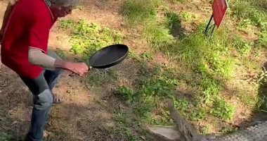 صاحب مطعم فى أستراليا يهزم تمساحا ضخما بـ"طاسة".. فيديو وصور