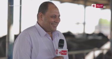نائب وزير الزراعة: الجاموس الإيطالى فى أصله مصرى ولكن تم تحسين سلالاته