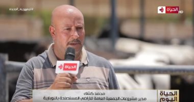 "الحياة اليوم" يرصد توزيع 1000 رأس من الأبقار المستوردة على صغار المزارعين
