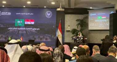 وزير الاستثمار السعودى: لا يخفى على أحد التنمية والنهضة التى تعيشها مصر بعهد السيسى