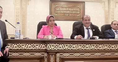 رشا كليب نائبة "التنسيقية" تناقش "أزمة حاجزي سيارات تويوتا إيجيبت" أمام "اقتصادية النواب"