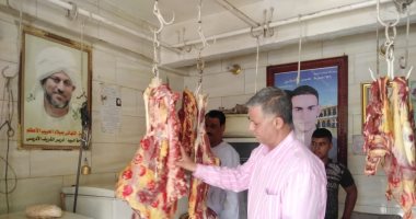 ضبط 24 كيلو لحوم غير صالحة للاستهلاك الآدمى فى حملة لـ"بيطرى الأقصر".. صور