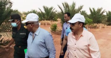 محافظ أسوان: بحث ترتيبات إنجاح المهرجان الدولى السادس للتمور المصرية