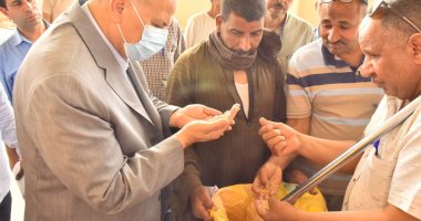 محافظ أسيوط يعلن توريد 167 ألف طن قمح محلى إلى 30 شونة وصومعة ..صور
