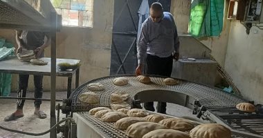 ضبط أسماك منتهية الصلاحية و 3 مخابز وتحرير 29 محضر تموينى بالبحيرة