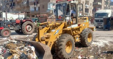 حملة لإزالة التعديات على الأراضي الزراعية ورفع 670 طن قمامة بالمحلة