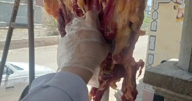 ضبط هياكل دواجن فاسدة فى حملات بيطرية مكبرة بالشرقية