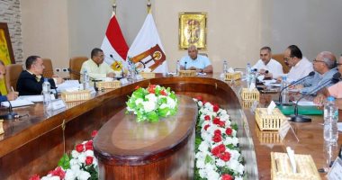 محافظ الوادى الجديد: 15 يوما مهلة للمستثمرين المتقاعسين عن سداد مستحقات الدولة