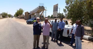محافظ الأقصر يتفقد رصف الطرق والتشجير بمدينتى الزينية والأقصر.. صور