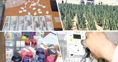 10 ضربات أمنية خلال أسبوع.. إبادة 126 فدانا لزراعات البانجو.. وضبط 190كيلو أفيون وهيروين.. والقبض على تشكيل عصابى استولى على أموال المواطنين برسائل مفخخة.. وضبط قضايا سرقة كهرباء بـ71 مليون جنيه