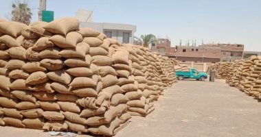 محافظ بنى سويف: استلام 229 ألفا و288 طنا من القمح المحلى بالصوامع والشون