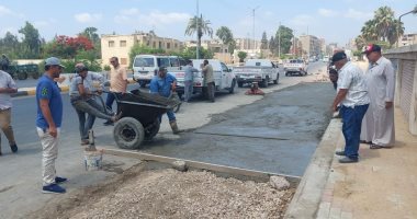 حملات تجميل ورصف وتنفيذ مشروع الصرف الصحي بقرية الشبابية بنسبة 80% بكفر الشيخ
