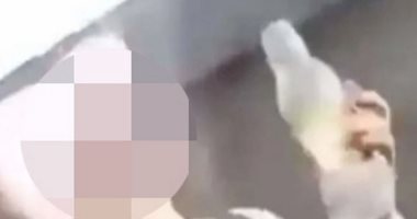 القبض على امرأة لأكلها هامستر بشكل متوحش مقابل كوكايين.. اعرف التفاصيل