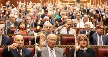"صناعة الشيوخ" توافق على مشروع قانون إنشاء المجلس الأعلى لصناعة السيارات