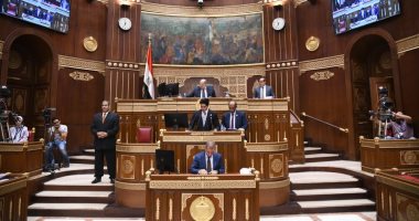 مجلس الشيوخ: الهيئة الرياضية تخضع للرقابة ماليا من الجهة الإدارية المختصة