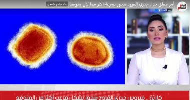مفاجأة.. فيروس جدرى القرود يتحور أكثر مما كان يعتقد سابقًا (فيديو)