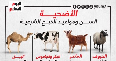 الأضحية.. السن ومواعيد الذبح الشرعية .. إنفوجراف