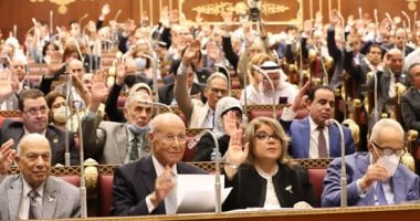 مجلس الشيوخ يقر المادة المحددة لاختصاص عمل اللجان الفنية للتصالح بمخالفات البناء