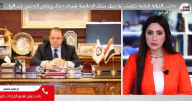تفاصيل مقتل الإعلامية شيماء جمال على يد زوجها وحبس شريكه فى الجريمة