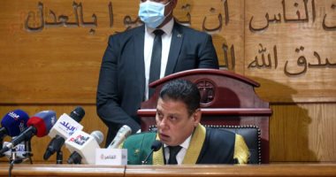 إلزام 9 متهمين بكتائب حلوان بدفع مليون و450 ألف جنيه لإتلاف برجى كهرباء