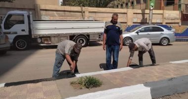 حملات نظافة ورفع إشغالات وكفاءة إنارة فى 4 مراكز بكفر الشيخ.. صور