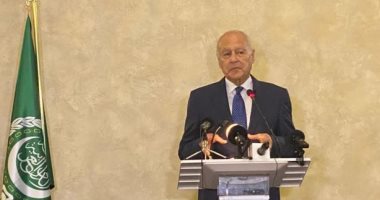 أبو الغيط: تجميد المسار السياسي لحل القضية الفلسطينية جريمة