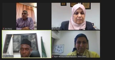 الرى تبحث مع ممثلى مجلس وزراء المياه الأفارقة الاستعدادات لأسبوع القاهرة للمياه