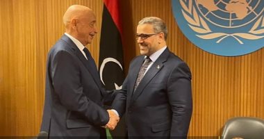 رئاسة البرلمان الليبي تكشف تفاصيل اجتماعات جنيف حول الإطار الدستوري.. مجلس النواب: الخلافات مع مجلس الدولة تكمن في الترشح لرئاسة الدولة والمناصب السيادية.. ويؤكد: اجتماع جديد بعد عطلة عيد الأضحى مباشرة