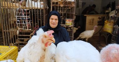 الحمام بـ50 جنيها والفراخ بـ39.. شاهد حكاية "أم أحمد" مع 40 سنة فى بيع الطيور بالزقازيق