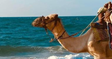شاهد جمال الشواطئ وطبيعة شمال سيناء المبهرة