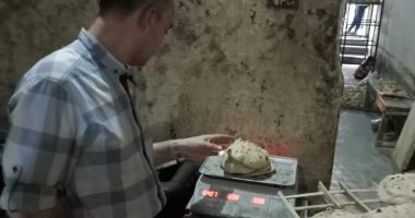 تحرير 9 محاضر مخالفات خلال حملات تموينية بملوى فى المنيا