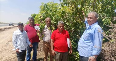 مدير عام الإرشاد الزراعي ومكافحة الآفات بالإسماعيلية يتفقدان محصول المانجو بالقنطرة شرق