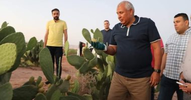 محافظ الوادى الجديد يتفقد أول مشروع لإنتاج التين الشوكى على مساحة 60 فدانا
