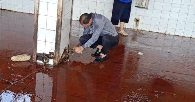 تطهير وتعقيم 16 مجزرا ونقاط ذبح بمحافظة كفر الشيخ لاستقبال عيد الأضحى.. صور