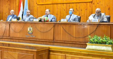 محافظة أسيوط تعتمد اللائحة التنفيذية لمكتبة مصر العامة قبل افتتاحها