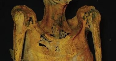 اعرف حكاية أقدم 5 رسومات تاتو فى التاريخ.. الأول رسم بأشواك الصبار والحبر