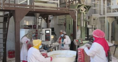 شباب تنمية المشروعات: حققنا أحلامنا بالمشروعات الخاصة بعيدا عن الوظائف التقليدية