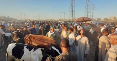 إقبال الأهالى والتجارة لشراء وبيع الأضحية بسوق المواشى بإسنا فى الأقصر.. صور
