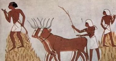 ماذا قال هيرودوت عن القربان والأضحيات فى مصر القديمة؟ 