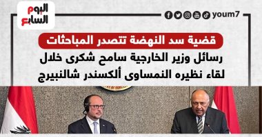 رسائل وزير الخارجية سامح شكرى خلال لقاء نظيره النمساوى ألكسندر شالنبيرج (إنفوجراف)