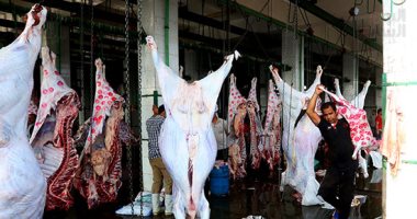 حصاد الوزارات.. وزير التموين: ضخ 160 طن لحوم يوميا بمنافذ المجمعات الاستهلاكية