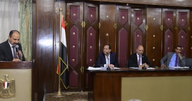  "طاقة النواب" توصى بدعم الكهرباء للفلاح والمزارع فى الوادى الجديد   