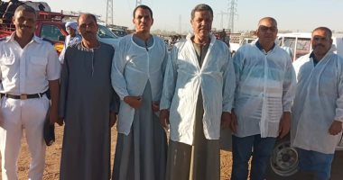 لجنة من الطب البيطرى بالأقصر لإحكام الرقابة على أسواق المواشى قبل العيد.. صور