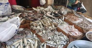 أسعار الأسماك اليوم فى مصر تسجل 38 جنيها للبلطى