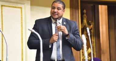 نائب التنسيقية محمد إسماعيل: قانون الإجراءات الضريبية الموحد لا يمس سرية الحسابات