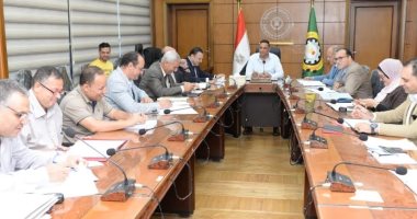 محافظ الدقهلية: مراعاة الأبعاد الاقتصادية للشباب والمستثمرين الجدد