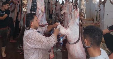 المجازر الحكومية بالإسكندرية تستعد لذبح الأضاحى والكشف عليها مجاناً 