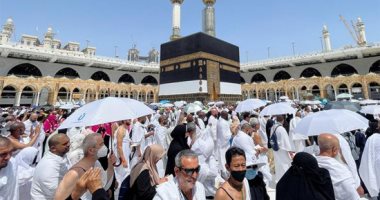 28 مركزا لتقديم الخدمات بالمشاعر المقدسة و177 شركة تخدم حجاج الداخل
